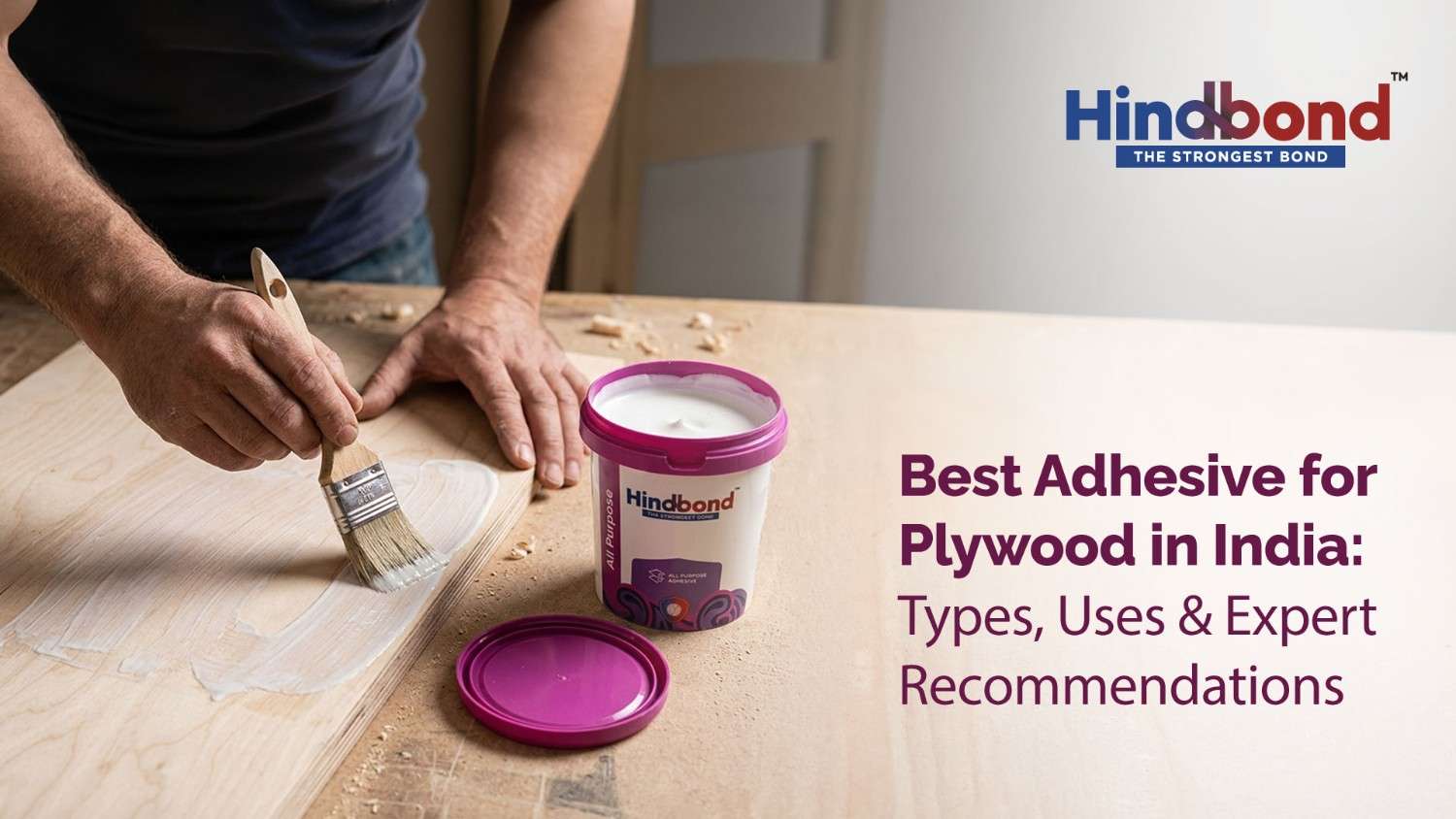 Best Adhesive for Plywood in India: Types, Uses & Expert Recommendations